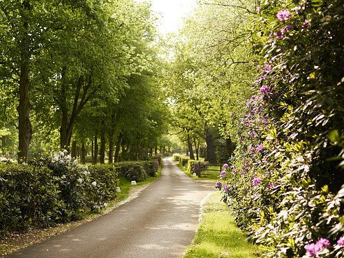 Image for Location 0933