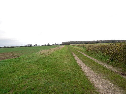 Image for Location 0915