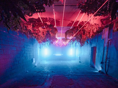 Image for Location 2044