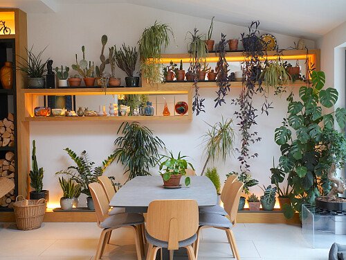 Image for Location 0883