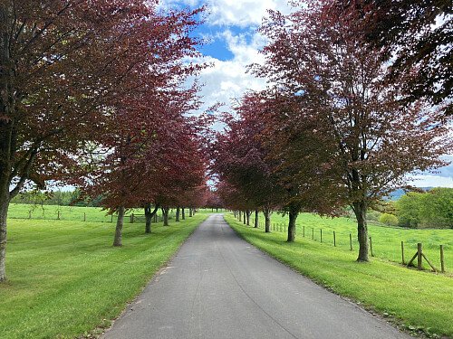 Image for Location 0838