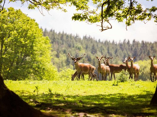 Image for Location 0766