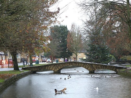 Image for Location 0445