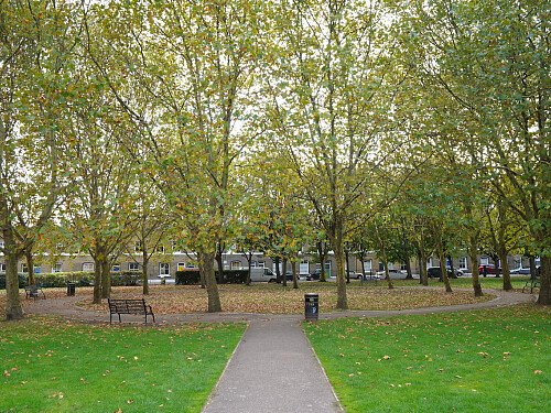 Image for Location 0338