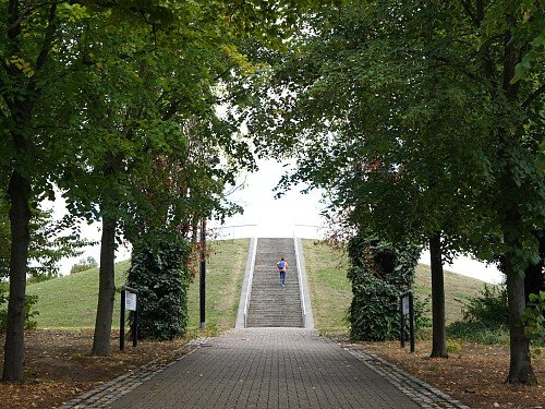 Image for Location 0169