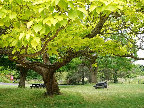 Image for Location 0016