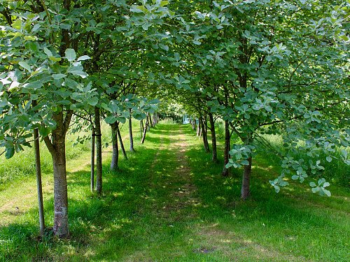 Traveller wagon period colourful cottage - Filming Locations Locations Direct -62