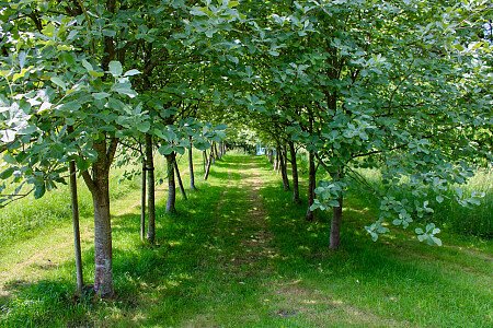 Traveller wagon period colourful cottage - Filming Locations Locations Direct -62