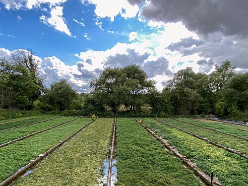 Traveller wagon period colourful cottage - Filming Locations Locations Direct -64