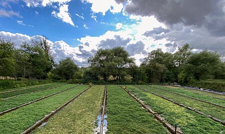 Traveller wagon period colourful cottage - Filming Locations Locations Direct -64