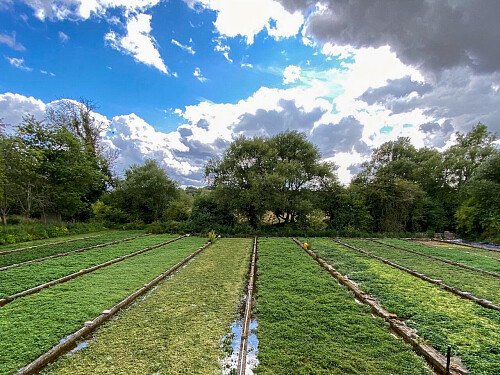 Traveller wagon period colourful cottage - Filming Locations Locations Direct -65