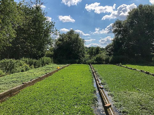 Traveller wagon period colourful cottage - Filming Locations Locations Direct -71