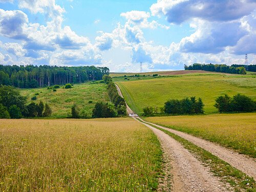 Image for Location 0919