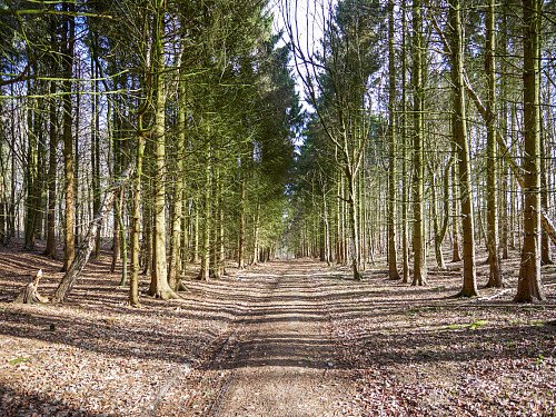 Image for Location 0919