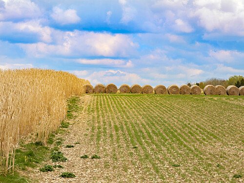 Image for Location 0919