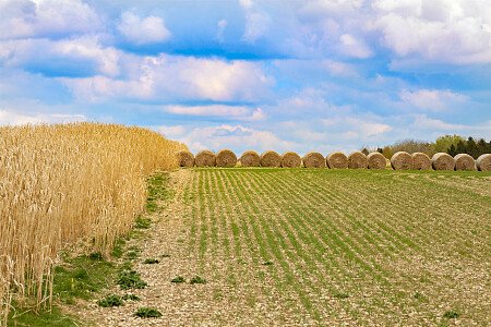 0919 -  filming photoshoot location-005