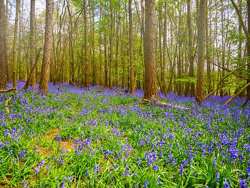 0919 -  filming photoshoot location-006