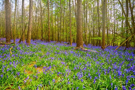 0919 -  filming photoshoot location-006