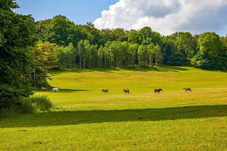 0919 -  filming photoshoot location-012