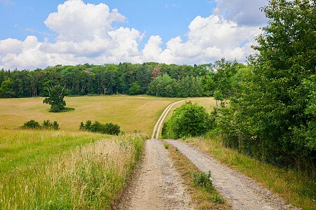 0919 -  filming photoshoot location-014