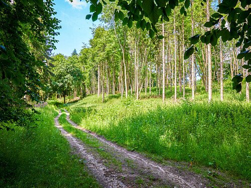 0919 -  filming photoshoot location-013