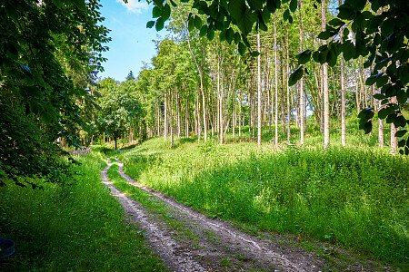 0919 -  filming photoshoot location-013