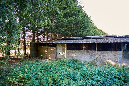 0919 -  filming photoshoot location-081