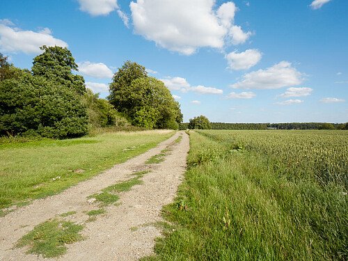 0919 -  filming photoshoot location-094