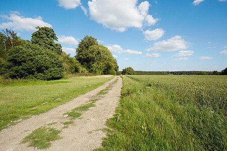 0919 -  filming photoshoot location-094