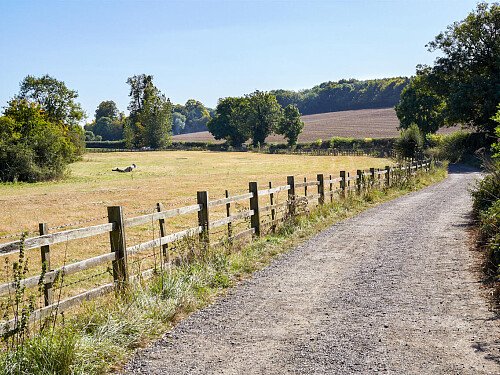 0919 -  filming photoshoot location-096