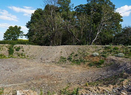 0919 -  filming photoshoot location-099