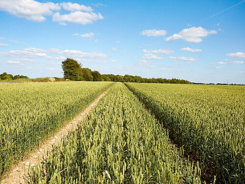 0919 -  filming photoshoot location-101