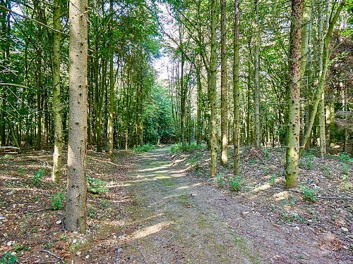 0919 -  filming photoshoot location-102