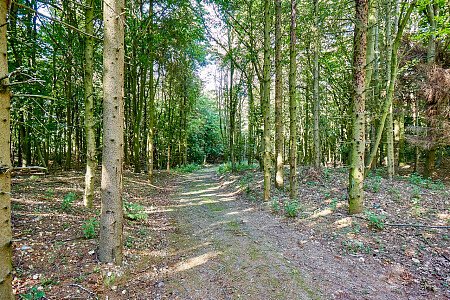 0919 -  filming photoshoot location-102