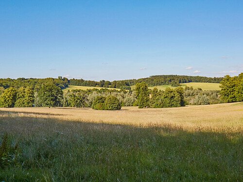 0919 -  filming photoshoot location-104