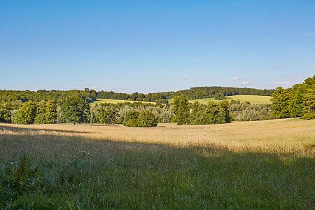 0919 -  filming photoshoot location-104