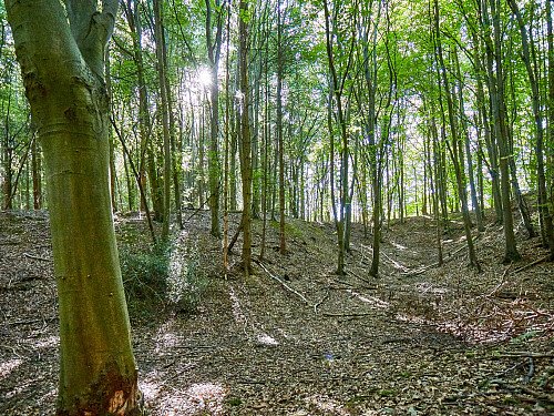 0919 -  filming photoshoot location-103