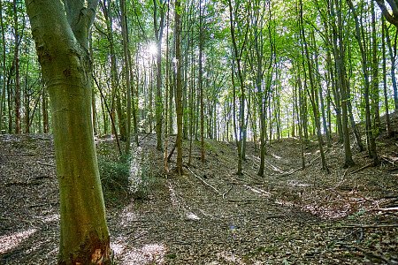 0919 -  filming photoshoot location-103