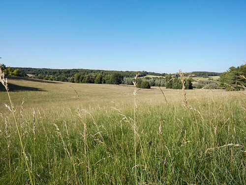 0919 -  filming photoshoot location-105