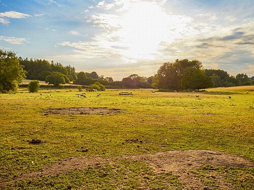 0919 -  filming photoshoot location-110