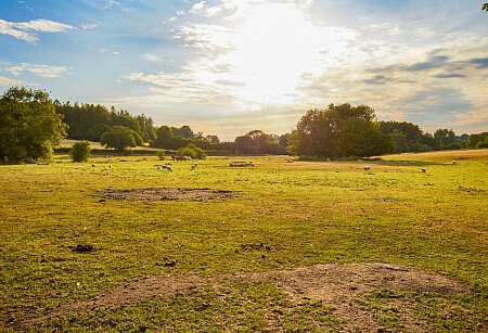 0919 -  filming photoshoot location-110