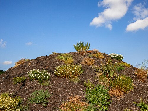 0919 -  filming photoshoot location-112