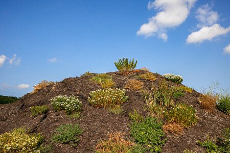 0919 -  filming photoshoot location-112