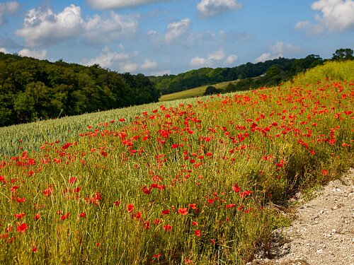 0919 -  filming photoshoot location-114