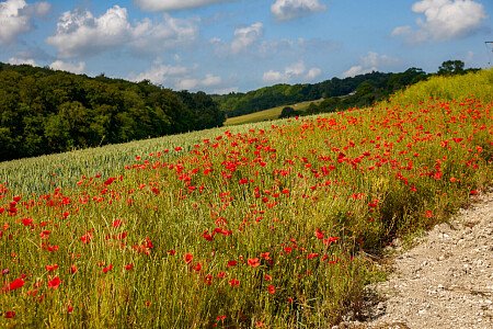 0919 -  filming photoshoot location-114