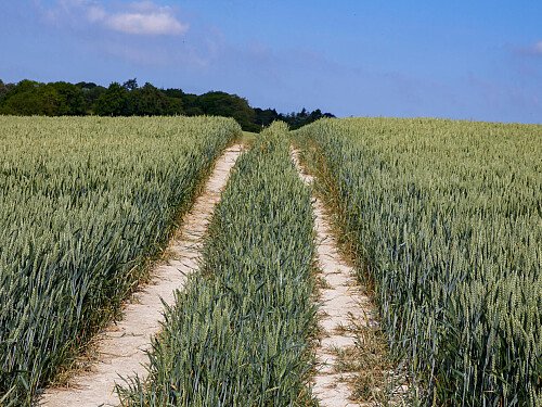 0919 -  filming photoshoot location-113