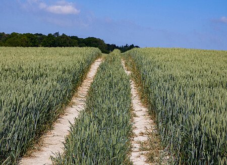 0919 -  filming photoshoot location-113