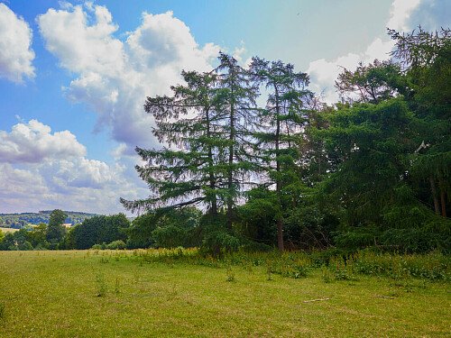 0919 -  filming photoshoot location-118