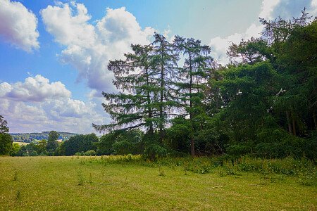 0919 -  filming photoshoot location-118