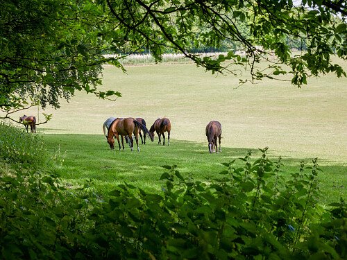 0919 -  filming photoshoot location-117